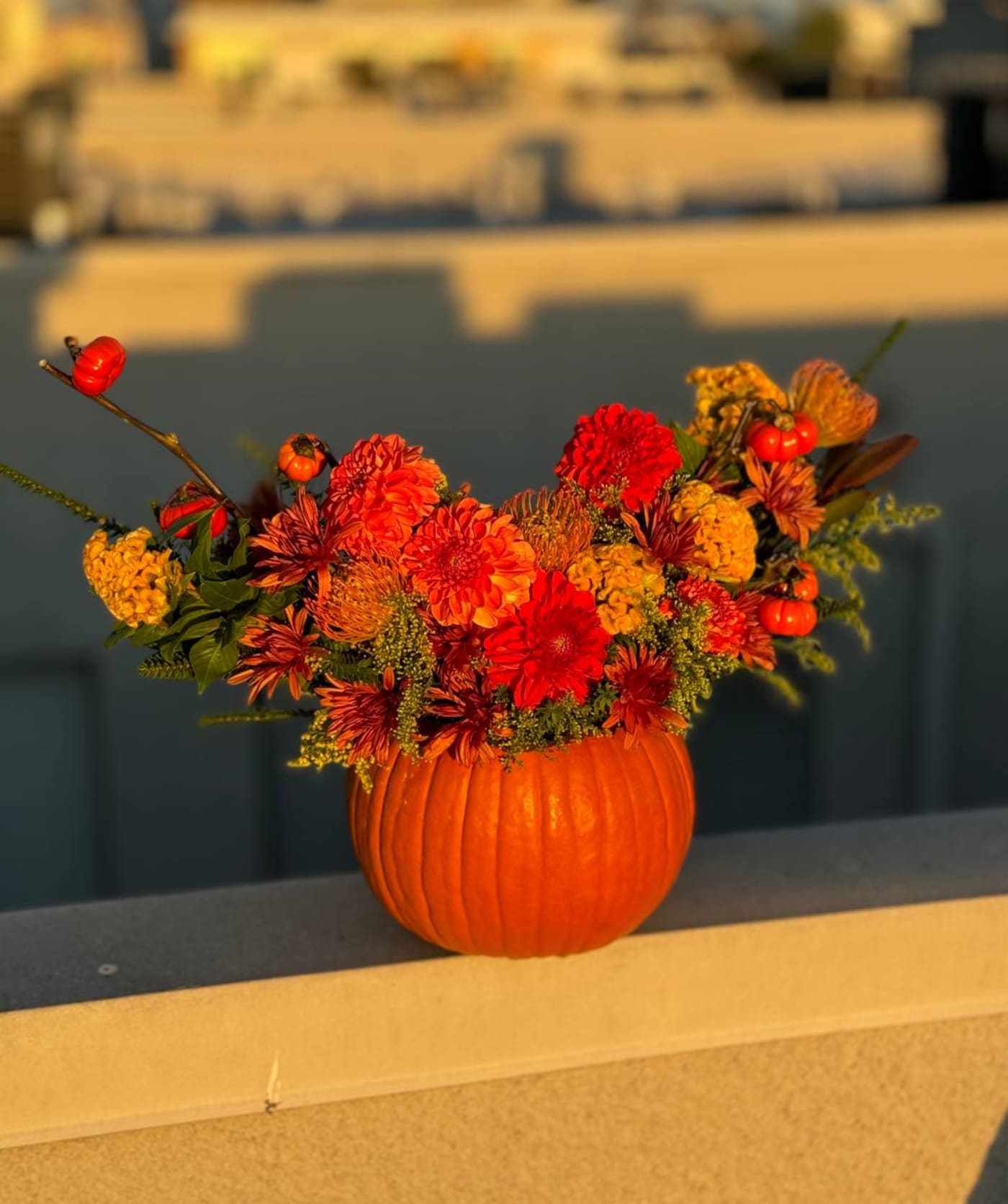 Pumpkin