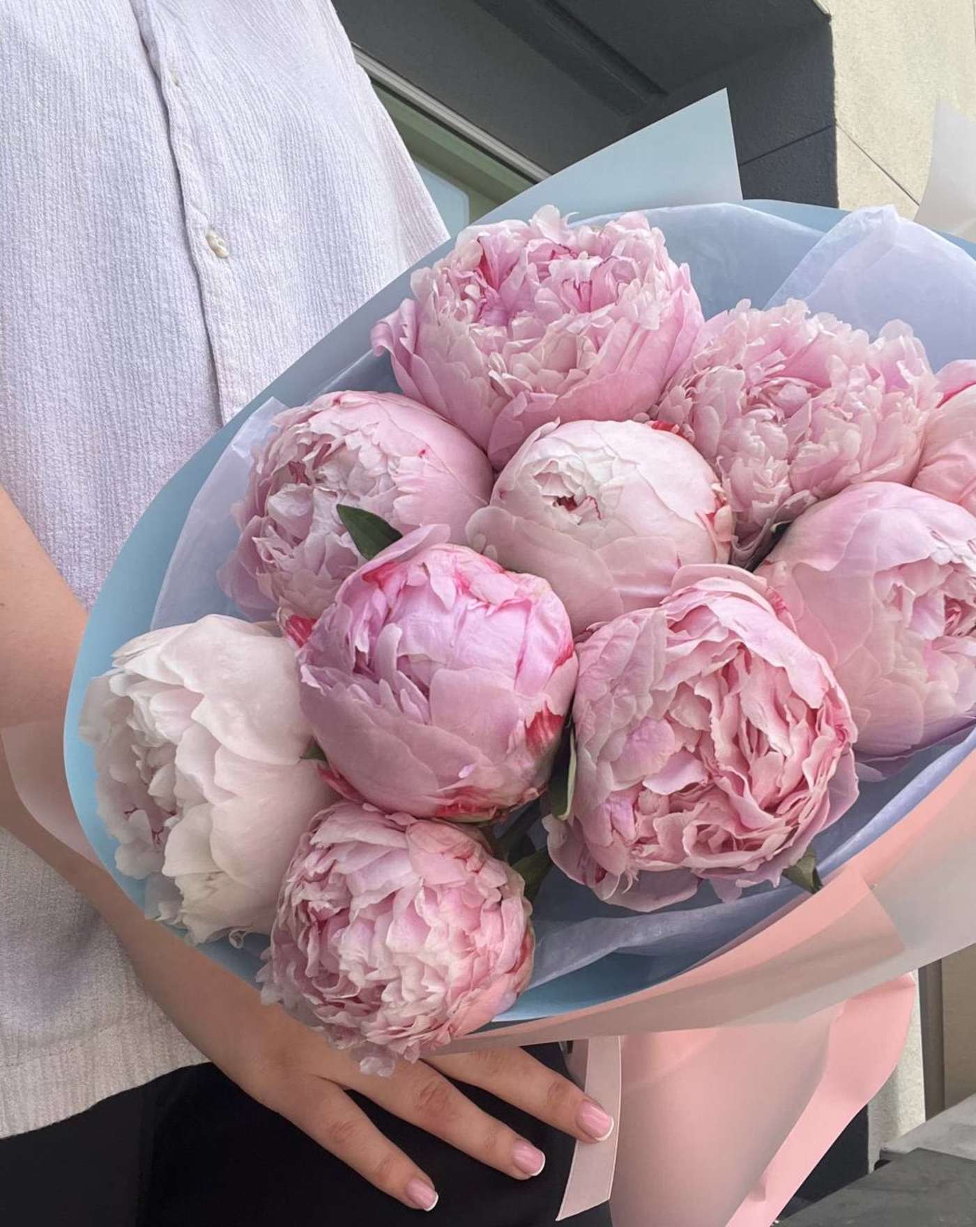 Pure Peonies