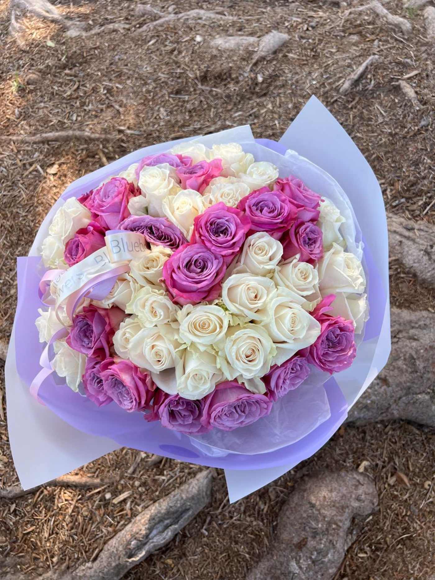 50 White & Purple Roses — Grace and Mystery