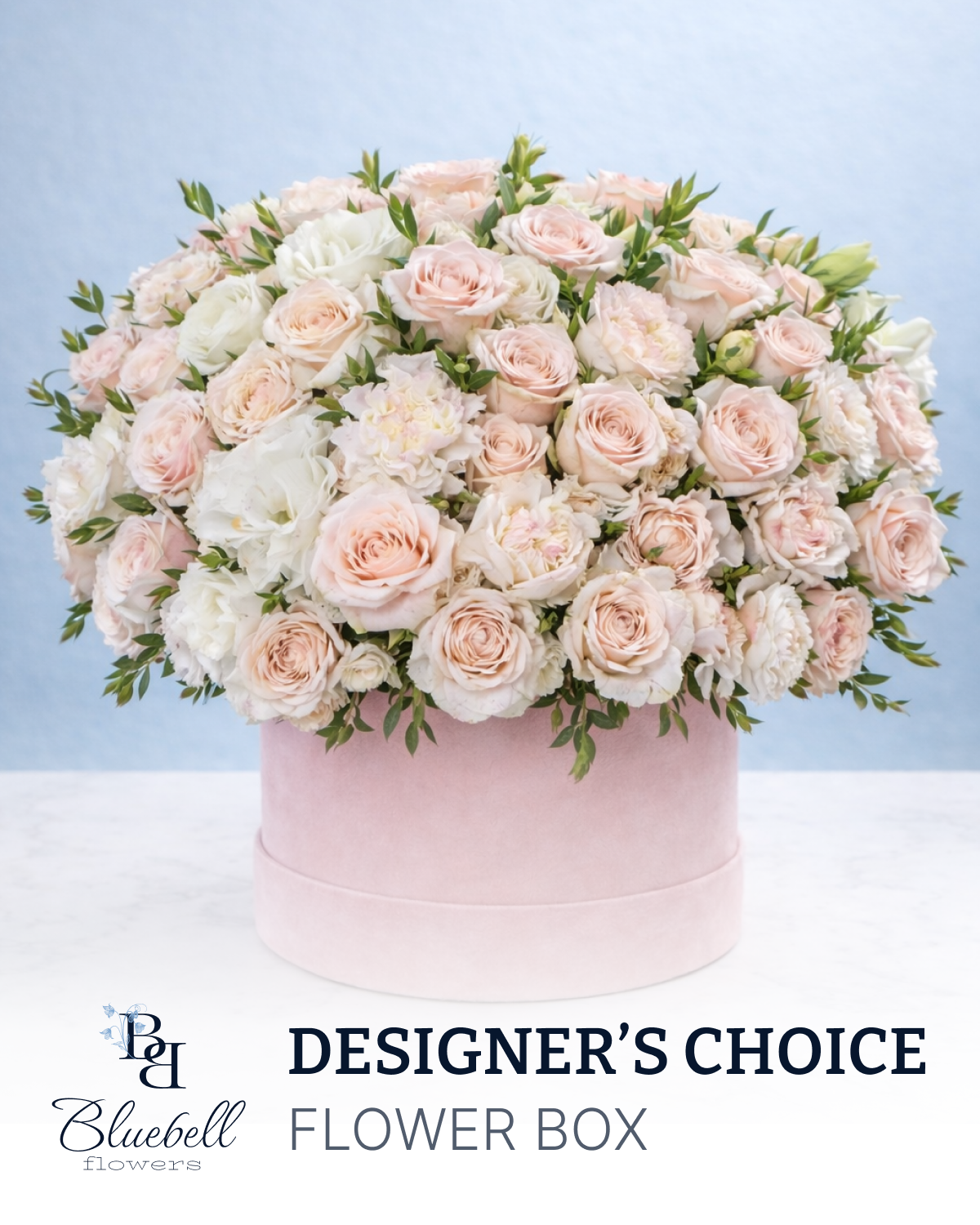 Designer’s Choice Flower Boxes