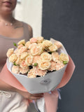 Apricot dream