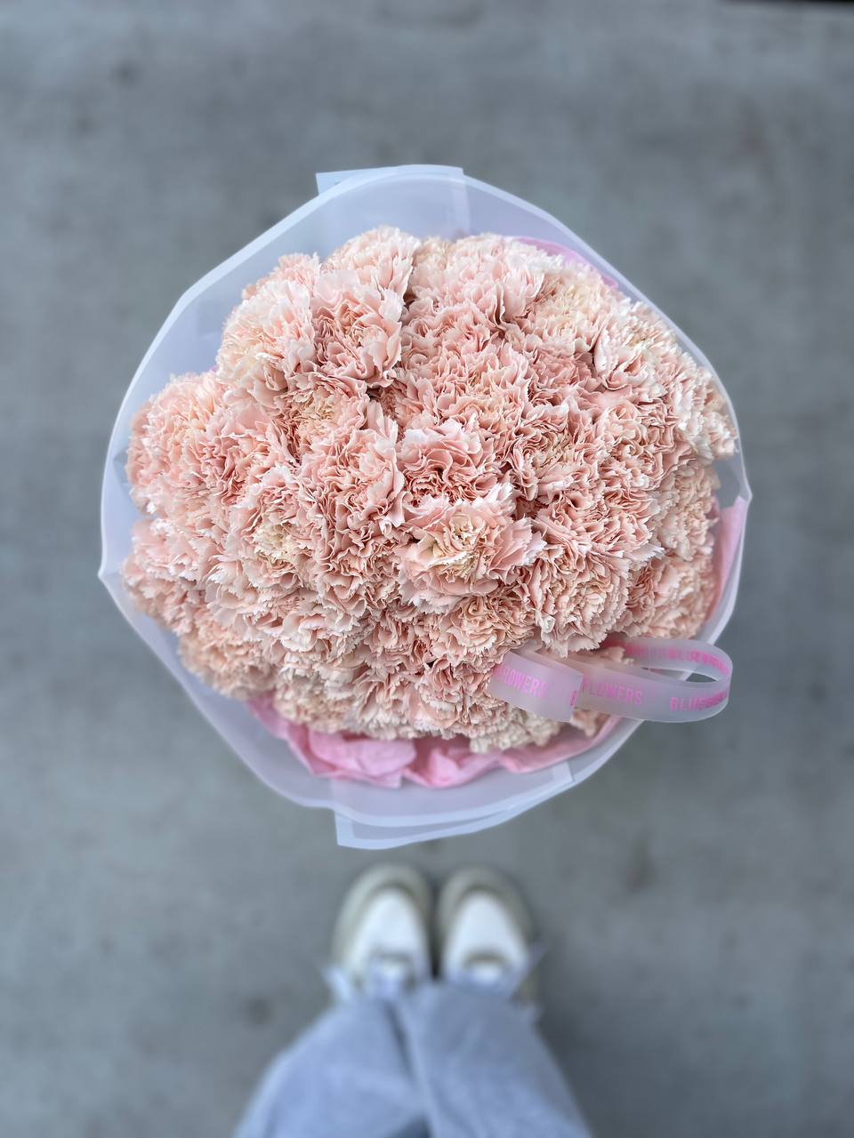 Pink Carnation Cloud