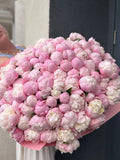 Peony Dreams