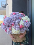 Lavender Romance